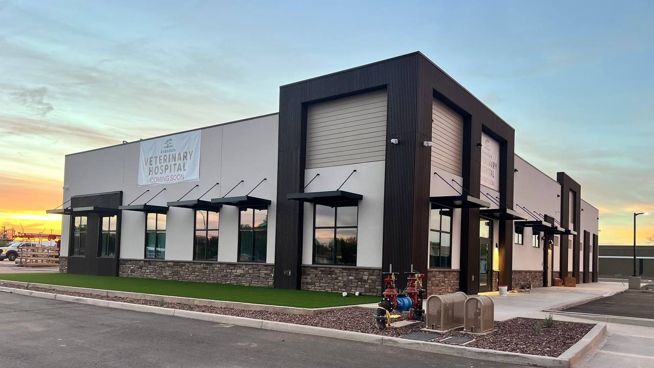 Canopy and Awnings