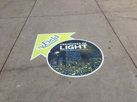 Coordinated promotional signs signage